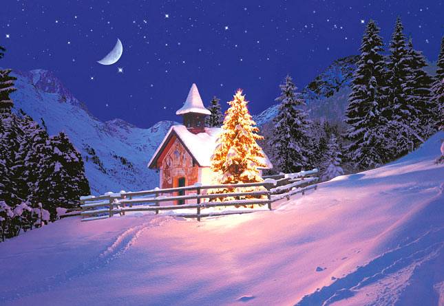 Волшебство зимней ночи