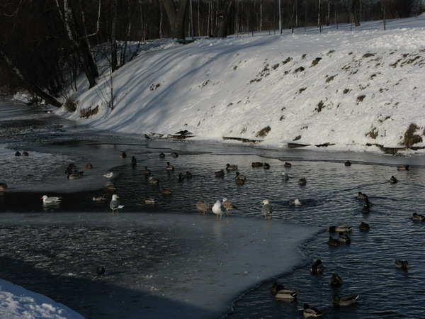Зима 2011 в моем городе