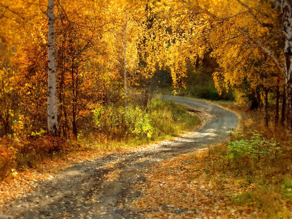 Залатыя Верабейкі